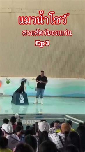 แมวน้ำโชว์ Ep3