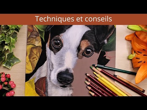 Techniques pour apprendre le portrait animalier aux pastels secs