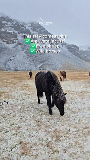 Is this the most unique stay in Iceland? You get a private jacuzzi,epic mountain views, and free-roaming horses & sheep right outside your door. Would you book this snowy paradise? Experience the magic at Sky Retreat Iceland. Your dream cabin getaway is waiting! 👇 Save this for your future trip! 👇 #IcelandRetreat #CabinLife #LuxuryTravel #VisitIceland #skyretreaticeland #beststay #uniquestays #traveliceland #airbnbiceland #uniqueairbnb #IcelandNow #novembervibe #snowiceland #hottop | Sky Retre