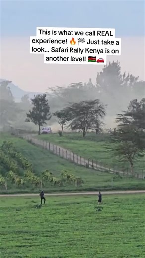 This is what we call REAL experience! 🔥🏁 Just take a look… Safari Rally Kenya is on another level! 🇰🇪🚗💨 #SafariRallyKenya #WRC #FYP #KenyaTikTok #RallyAction”