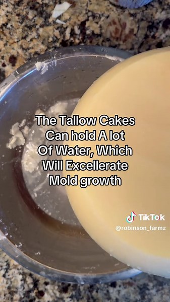 Tallow Rendering Tutorial for Beginners