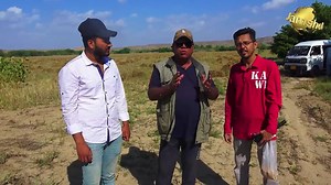 Parrots Releasing From Cage 100 Pair Budgies Birds Releasing at Beautiful Place 30-3-2023 Karachi | Jamshed Asmi Informative vlogs