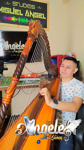 Buenas noches Busco una voz femenina para hacer un proyecto musical para mi agrupación musical | Angeles Miguel