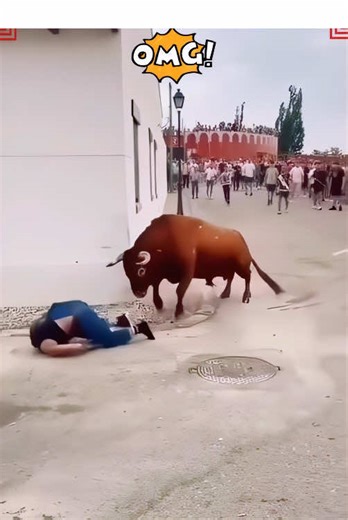 Thrilling Bullfighting Mix: Boldness & Swings#funny #crazy #bullfighting #fighting #extremesport