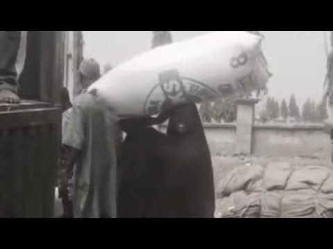 strong ladies working on loading truck with goods