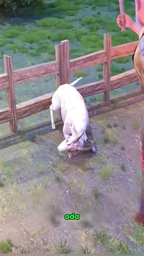 Part 2@NONTON ASIK #filmclips #movieclips