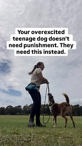 They need clarity. They need clear expectations. They need simple life skills so you can guide them through situations, instead of constantly saying “no”. Jumping on guests? That’s not a “bad dog”, that’s a dog who doesn’t know the rule yet. You can teach: when people come over, your job is to go to your bed instead. Begging for food at the café? Again, not a broken dog, just no clear job. You can teach: when we sit down to eat, you go to your bed/blanket and relax. Pulling on the lead? They nee