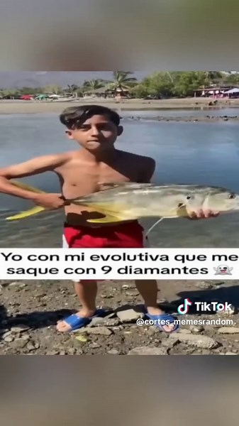 Los mejores momazos que te harán reír