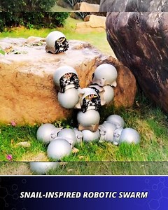 These iron-shelled robo-snails swarm together for off-road tasks. | Startup Selfie