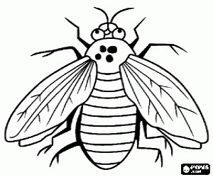 A fly, an insect coloring page printable game