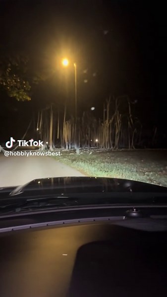 Yard Cleanup Duration: Insights on Landscape Design