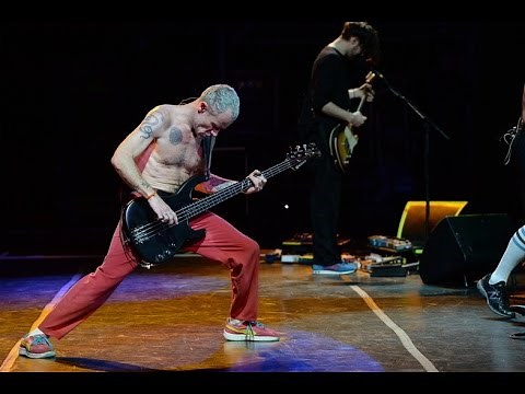 Red Hot Chili Peppers - Can't Stop (Lollapalooza Argentina 2014)