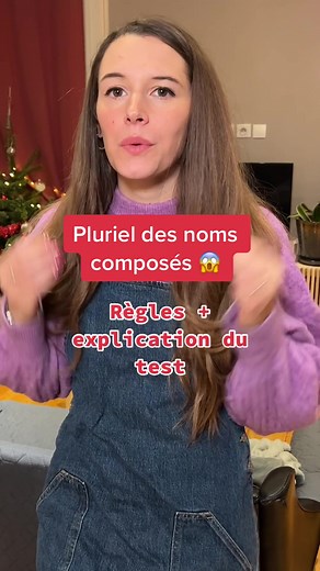 Le pluriel des noms composés en français