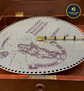 26K views · 1.6K reactions | Good morning dear Followers! Thank you...