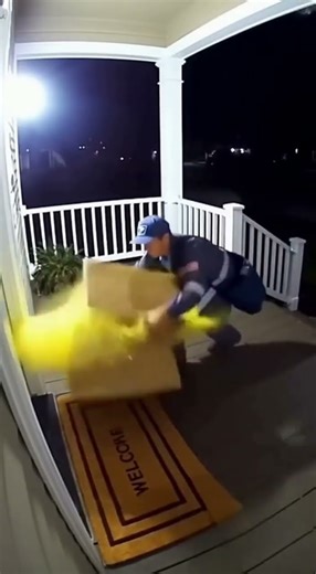 “Delivery Gone Wrong 😱 Postal Worker vs Powder Box 😂” #cctv #comedy #securitycamera