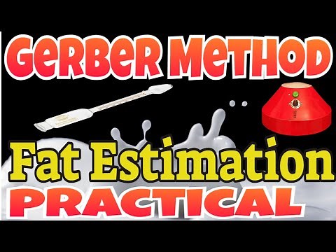 How to Determine Milk Fat Content: The Gerber Method Made Easy
