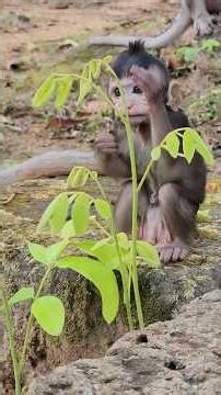 Awesome Baby Dimitri Exploring Nature