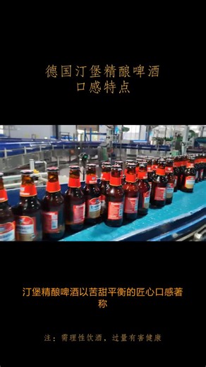汀堡精酿啤酒，匠心酿造的艺术之作。精选优质麦芽与柑橘调酒花巧妙融合，层次分明的口感带来非凡体验。入口绵密细腻，麦芽的醇厚香气与酒花的清新柑橘调完美平衡，每一