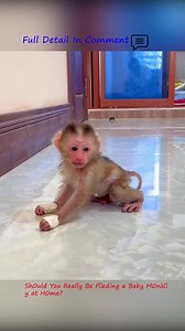 Full Detail : https://www.freshnewss.live/archives/731 Should You Really Be F🐵eding a Baby Monk🐵y at Home? (The Truth May Sh🐵ck You!) | Adorable Tiny Monkey
