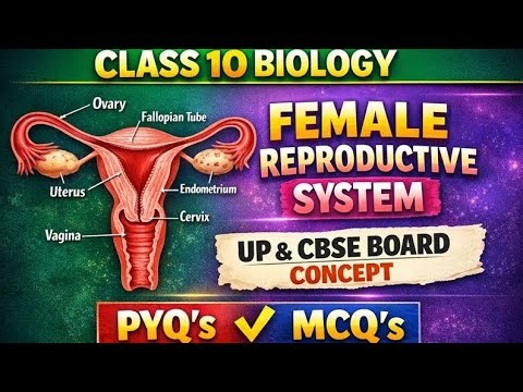 Class 10 Biology // Female Reproductive System // Pyq & MCQ with Concept