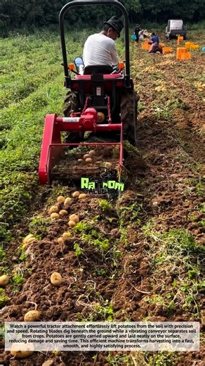 Amazing Potato Harvest Machine! Satisfying Farming Technology 🚜🥔