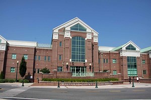 Branches of Local Government