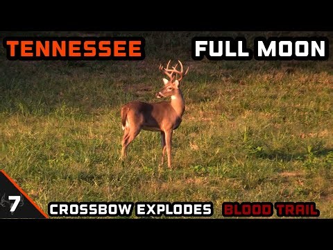 CROSSBOW EXPLODES, SHOTS FIRED, BLOOD TRAIL, AND A TRUE FULL MOON!