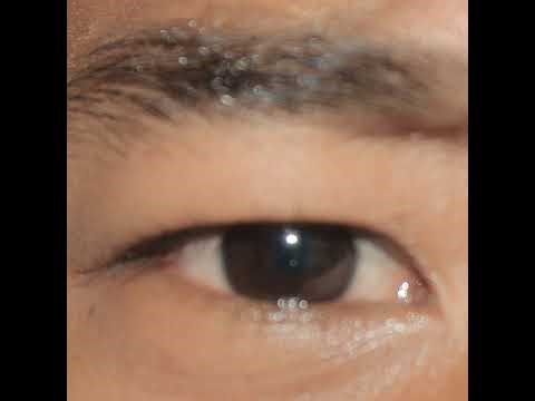 RE8: Heisenberg Arc (Chris Redfield Playable?!)