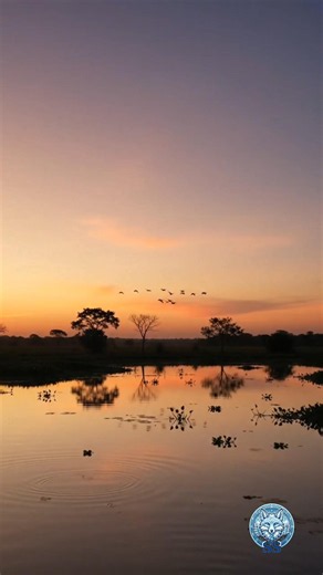 Brazil's Hidden Paradise 🇧🇷 | The Most Beautiful Country on Earth? 😍🌴 #shorts