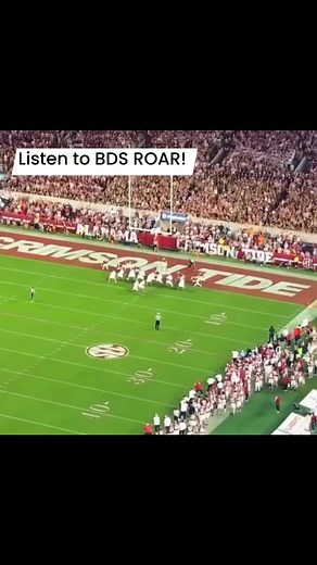 Alabama Nation on Reels