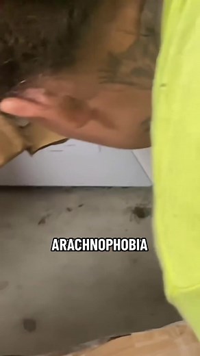 The Fascinating World of Wolf Spiders: Exploding Myths and Adorable Babies