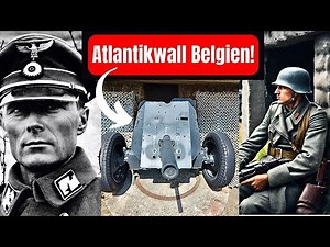 😮 The last bunkers and cannons of the Wehrmacht on the Atlantic Wall in Belgium!