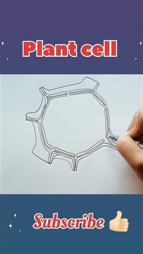 Plant cell #biologydiagram