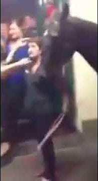 Chien baise fille ivre