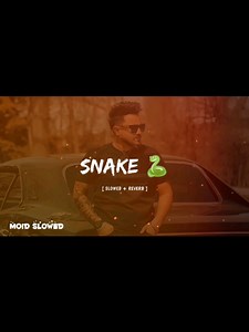 Snake: Full Song Slowed and Reverb Experience