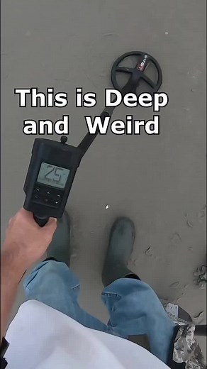 detectormoe on TikTok