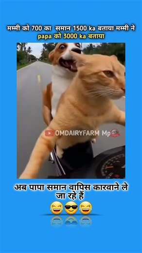 कारवाने ले जा रहें हैं #shortsfeed #funny