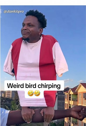 Bird Chirping: A Morning Melodic Experience