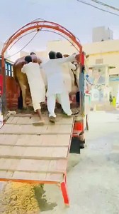 FURQAN BHAI KE JANWER BOHAT HEAVYWEIGHT BULLS SURTI CATTLE FARM SE AYE HAIN MA SHA ALLAH ❤❤ | Pakistan Qurbani Lovers