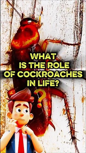 What Is the Role of Cockroaches in Life? Discover the Secrets of This Amazing Insect