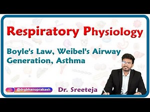 Respiratory Physiology : Boyle's Law, Weibel's airway generation, Asthma : USMLE Step 1 Physiology
