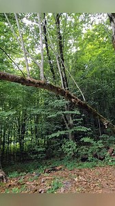 1.9K reactions · 11 shares | #bushcraft #camping #camp #outdoors #survival | Hongly Sok | Facebook