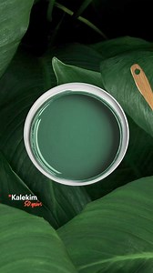 Meet Isıtut, the thermal insulated interior wall paint! While Isıtut resists moisture, mold and fungus formation by preventing the condensation of water vapor on the wall surface. The micro glass spheres in its composition contribute to insulation by reducing heat transfer through the wall. #KalekimInternational #Isıtut | Kalekim International