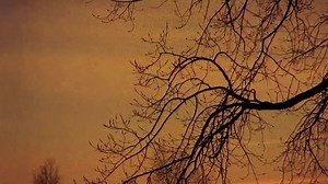 28K views · 942 reactions | French Canadian Jo Truchon straight...