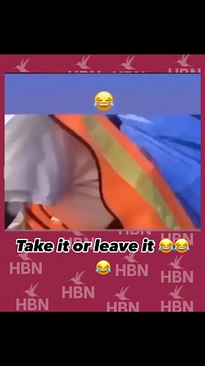 Original Bawda Cat, yes Bredda ! | Humming Bird Network