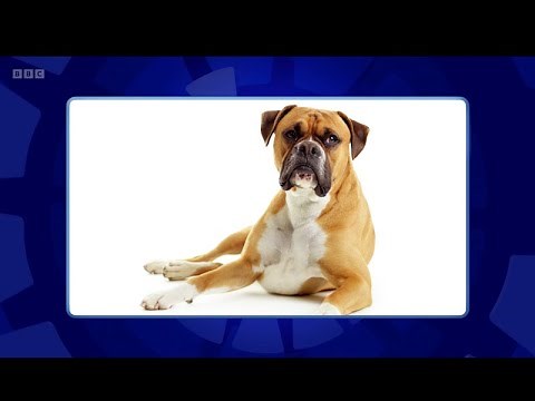 Only Connect - Series 19 - Episode 23