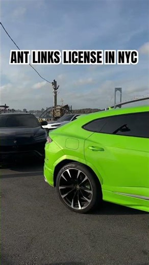 ANT LINKS LICENSE IN NYC #nyc #license #urus