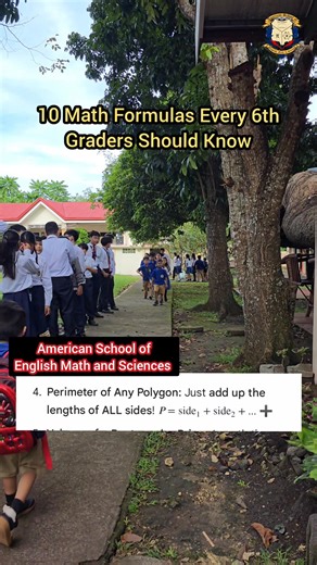 10 Math Formulas Every 6th Graders Should Know #mathematics #maths #teachingmath | American School of English Math and Sciences
