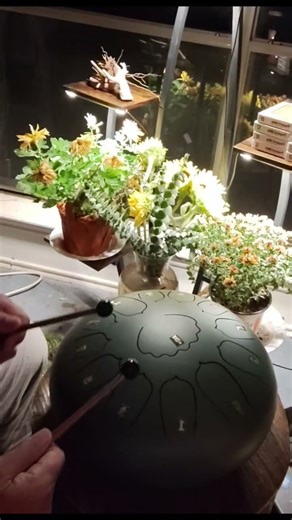 Song No. 1 on Larger Idiophone