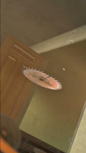 пилапокалипсис 1